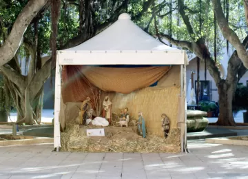What to do at Christmas in the city.