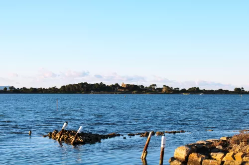 Tour Isola di Mozia