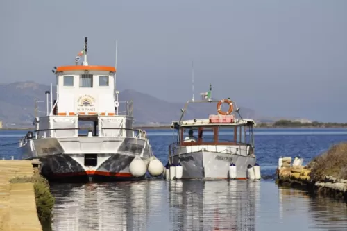 imbarcazioni tour laguna dello stagnone e mozia