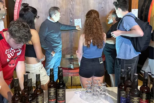 Cantine Lombardo - degustazione vini