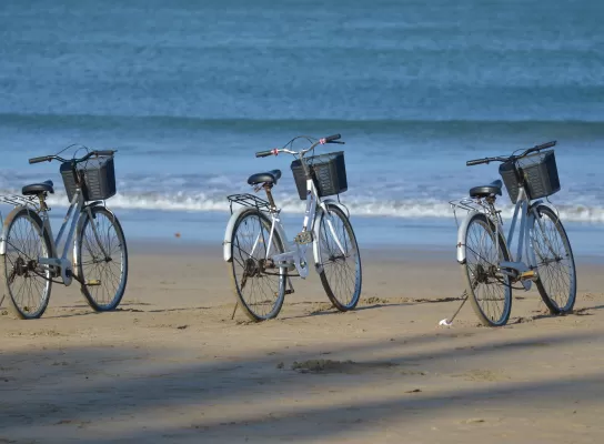 Bike and Electric Scooter Hire