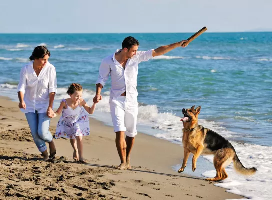 The beaches of Marsala