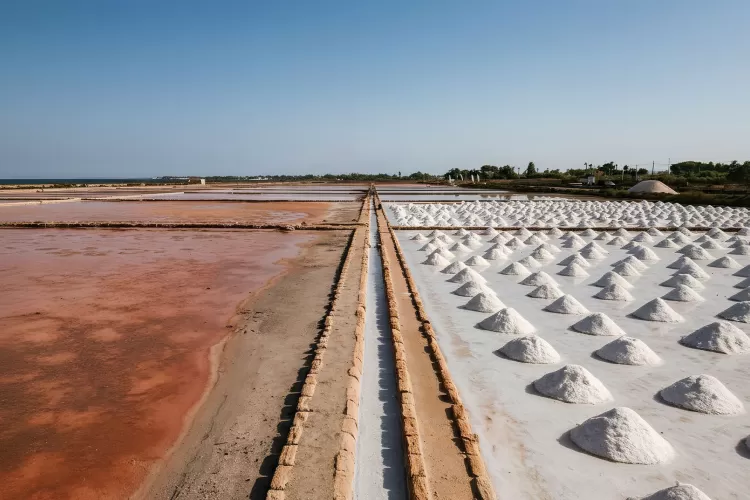 Visita guidata in salina