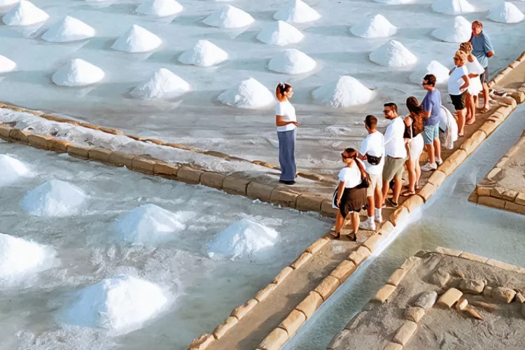 Visita guidata in salina