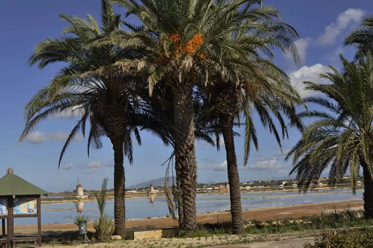 Tour della Laguna dello Stagnone